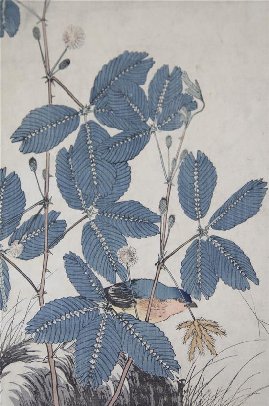 Kawarazaki Shodo (1889-1973) four ukiyo-e prints of flowers, all mounted, varying condition (7)